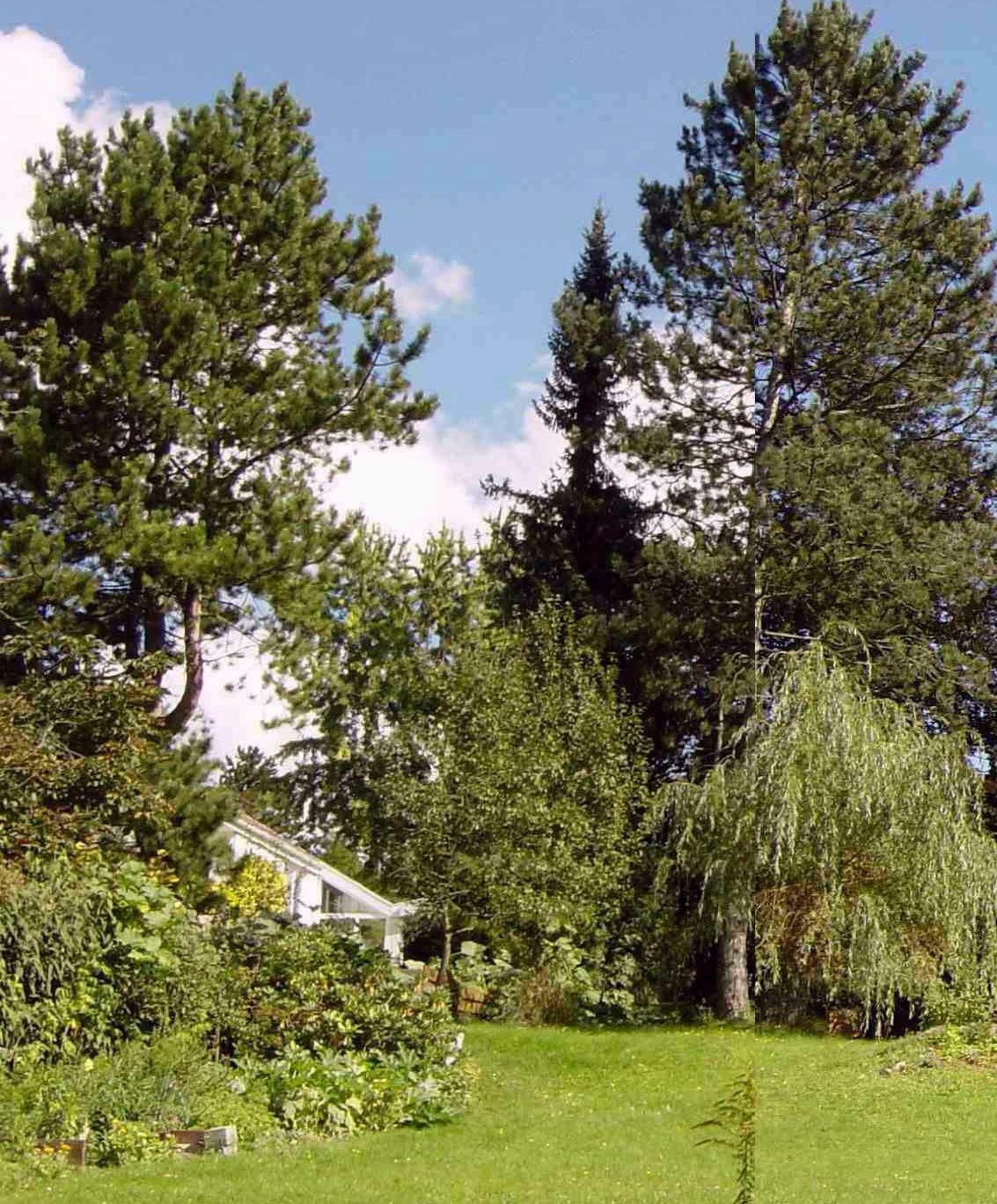 Kberg_rechts